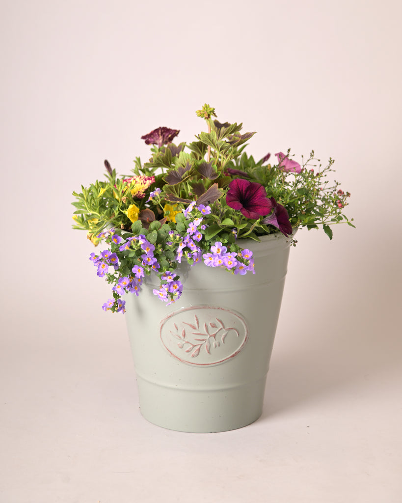 Seasonal Olive Memorial Planter
